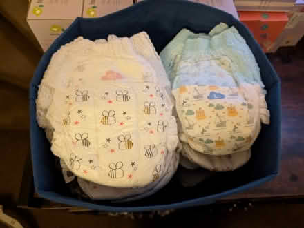 Photo of free Pull ups (CB22) #1