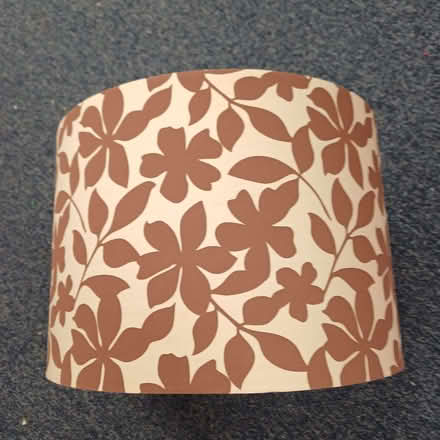 Photo of free Large lampshade. (Sydenham SE26) #1