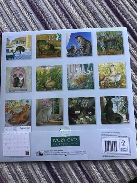 Photo of free Large Ivory 2026 'Cats' calendar (Alderley Edge SK9) #2