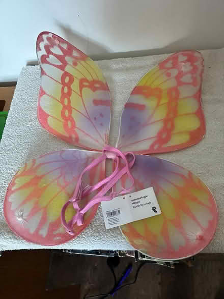 Photo of free Child's costume - "butterfly wings" (Stockwell SW9) #1