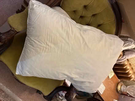 Photo of free Large feather cushion / pillow (Hailsham BN27) #1