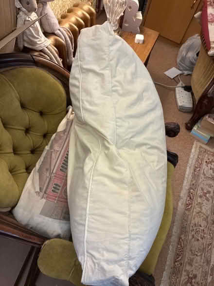 Photo of free Large feather cushion / pillow (Hailsham BN27) #2