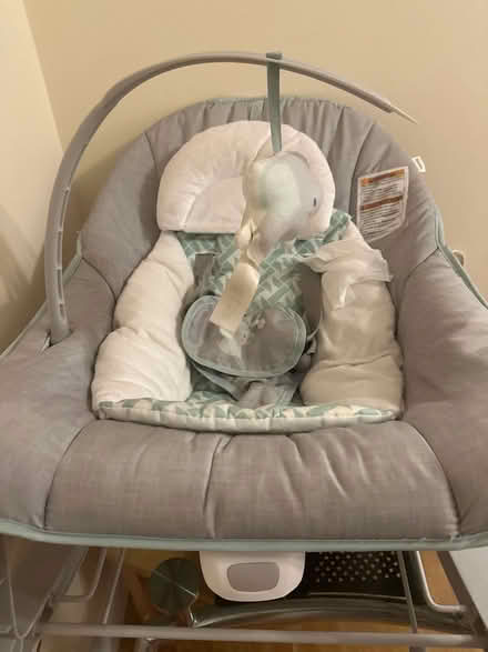 Photo of free Baby Rocker (Ramsbottom, BL0) #1