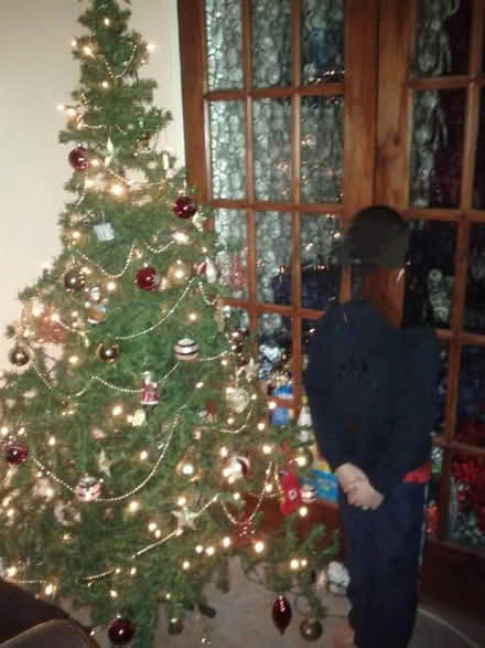 Photo of free Christmas trees (Seaton Delaval NE25) #1