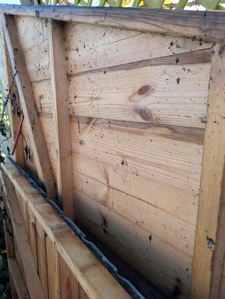 Photo of free Shed panels - 1 side, back and 1 door frame with 2 doors (Waterside HP5) #3