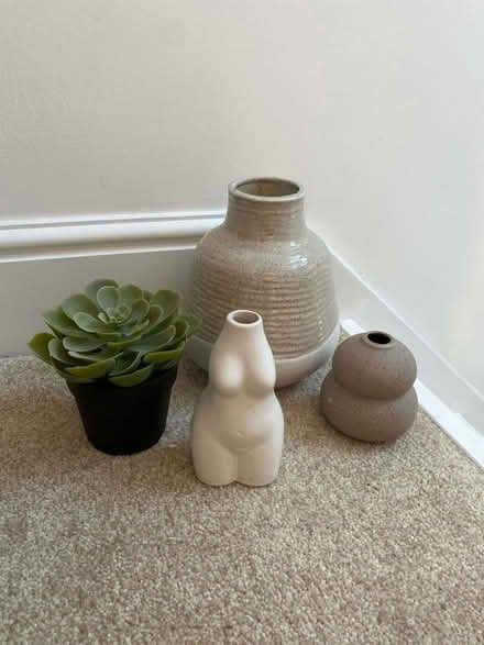 Photo of free Vases & faux plant (Witney OX28) #1