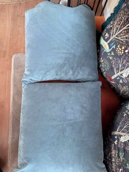 Photo of free Two grey velour cushions (Galgate LA2 0) #1