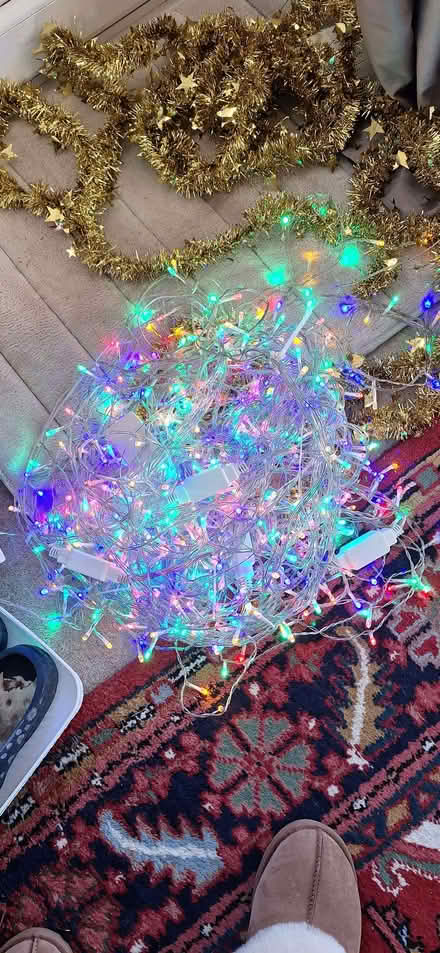 Photo of free Christmas Lights (Stotfold SG5) #1
