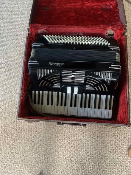 Photo of free Woman's Sylvestri Accordion (Greenwood) #1