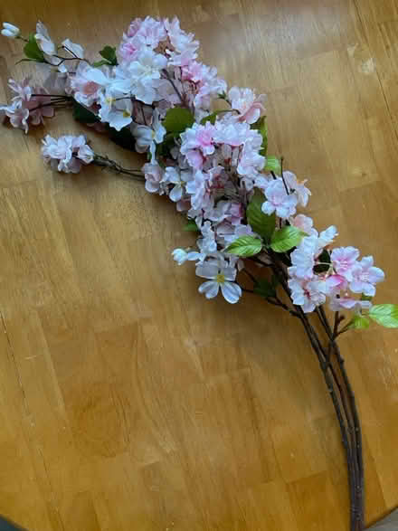 Photo of free Spring decor pieces (Arlington Heights) #2