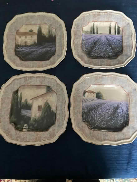 Photo of free Plates (East side of Columbia) #1