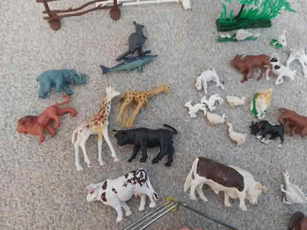 Photo of free Toy animals (Flackwell heath HP10) #2