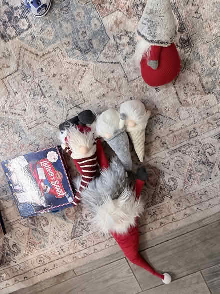 Photo of free Collection of gonks (Burham Rochester) #1