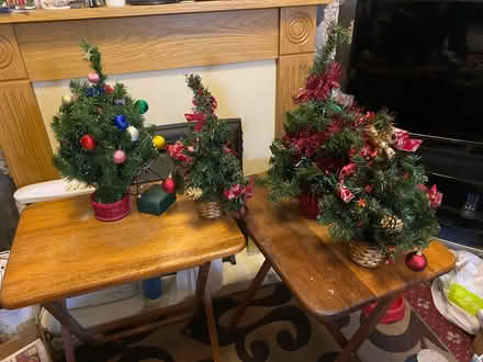 Photo of free 4 x Xmas trees (B9 bordesley green) #2