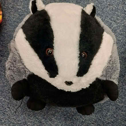 Photo of free Badger hand muff (Sydenham SE26) #1