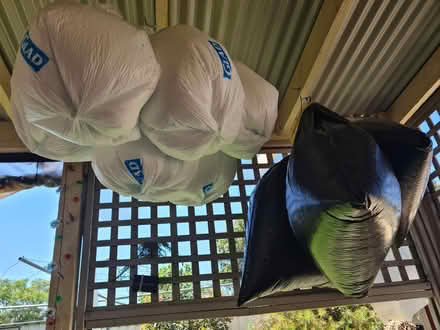 Photo of free Bean bag beans (South Side, Tuggeranong) #3