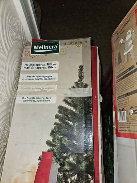 Photo of free 3 x Christmas Trees (Bishop Auckland DL14) #3