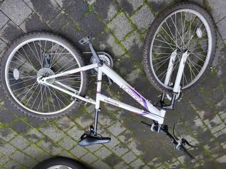 Photo of free Girls Apollo bike 14inch frame (Norton Sheffield S8) #2