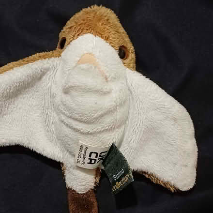 Photo of free Little stingray (Sydenham SE26) #1