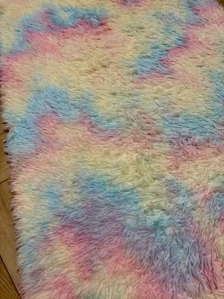 Photo of free Fluffy rainbow pastel rug (Sandyhills G32) #2