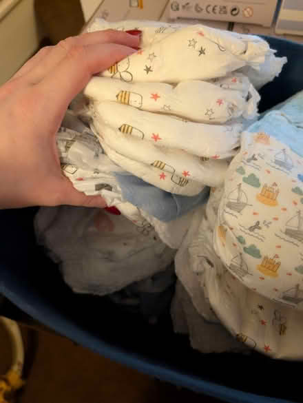 Photo of free Pull ups (CB22) #2