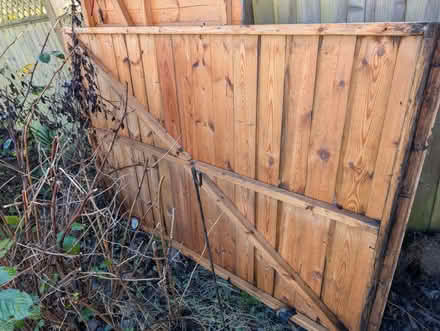 Photo of free Shed panels - 1 side, back and 1 door frame with 2 doors (Waterside HP5) #2