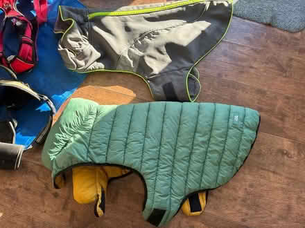 Photo of free Dog walking bundle (Nine Ashes, CM4) #3