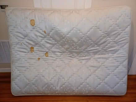 Photo of free Mattress +scrap bed frame & dresser (Carondelet) #2