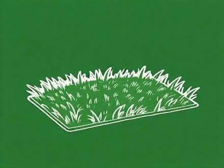 Photo of grass reinforcement mat (Ryde PO33) #1