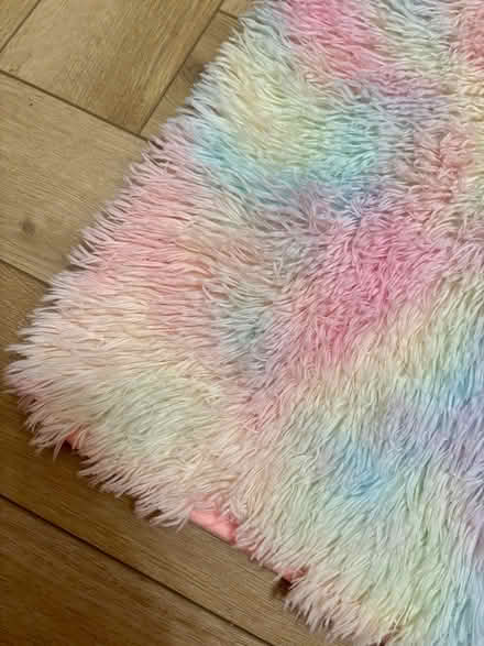 Photo of free Fluffy rainbow pastel rug (Sandyhills G32) #3