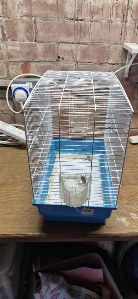 Photo of free Bird Cage (NG6 Basford) #2