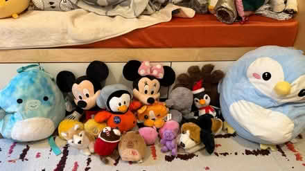 Photo of free Find Stuff Animals New Home (Sutton Place / Midtown East) #1