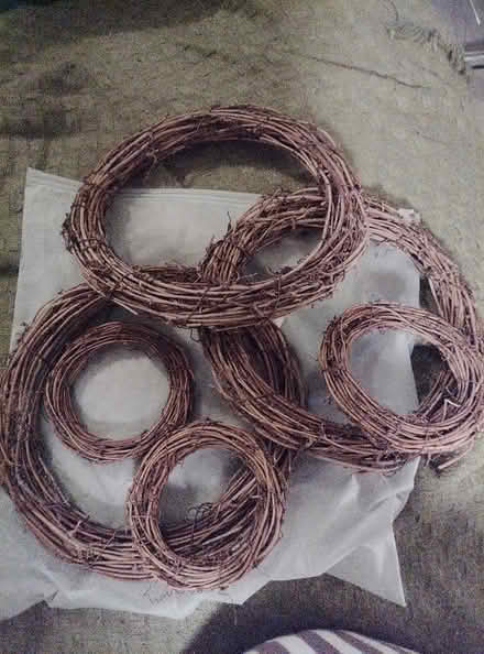 Photo of free 6 floral rings (Barnham) #1