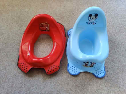 Photo of free Potty and training toilet seat (North Tonbridge TN10) #1