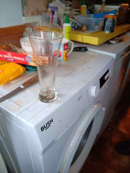 Photo of free 12 Lager Glasses (Knaresborough HG5) #2