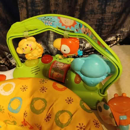 Photo of free Baby bouncer (Princes park, BN22) #2