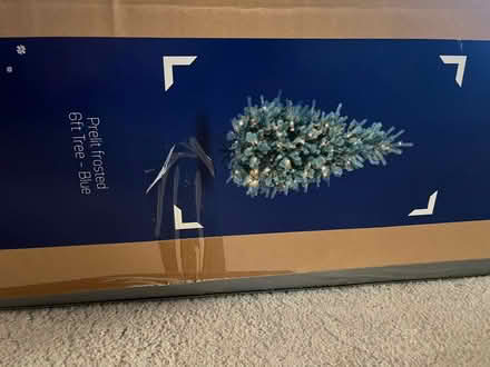 Photo of free Christmas tree (Nettlestead Green ME18) #2