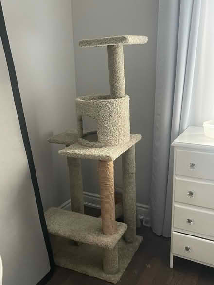 Photo of free Imperfect cat tree (Holland Landing) #3
