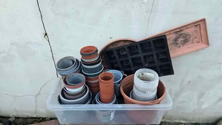 Photo of free Garden propagation pots (Upton E13) #1