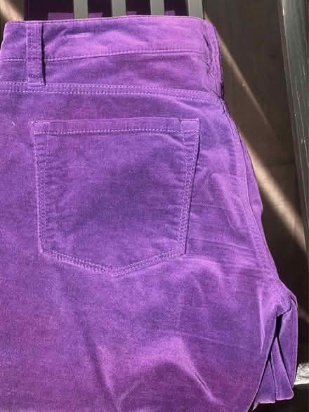 Photo of free LOFT Women’s Dark Purple Pants (Arlington, VA) #1