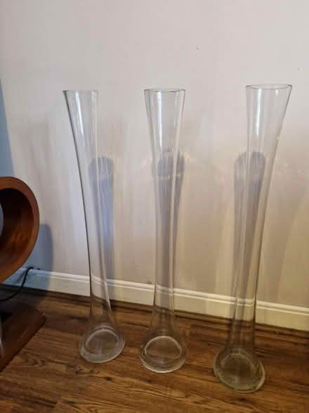 Photo of free Lilly vases x 3 (Branston DE14) #1