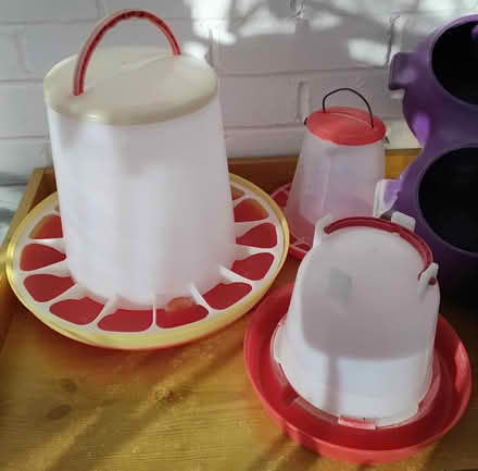 Photo of free Poultry Feeders & Drinkers (DA1) #2