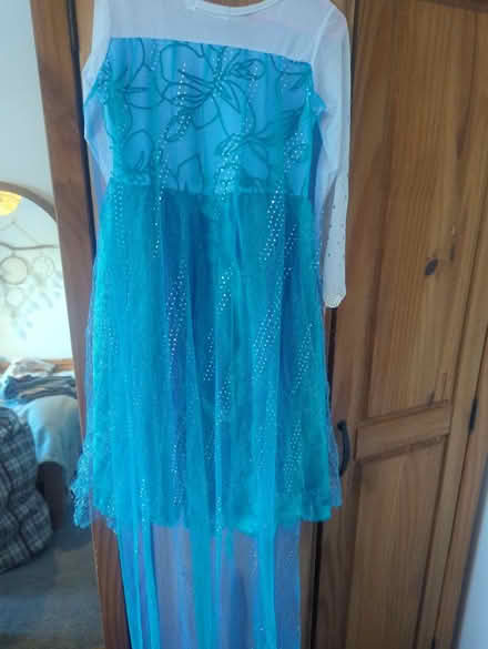 Photo of free Well loved Frozen Elsa dress age 6 (TA19) #3
