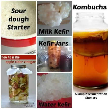 Photo of Fermentation starter ingredients (Winnersh RG41) #1