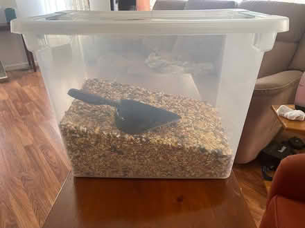 Photo of free Birdseed (large container included) (Santiago Villa) #1