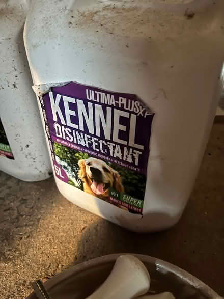 Photo of free Kennel cleaner (TN4) #2