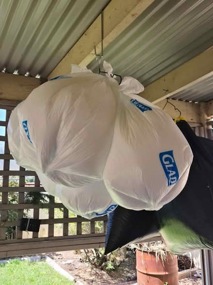 Photo of free Bean bag beans (South Side, Tuggeranong) #1