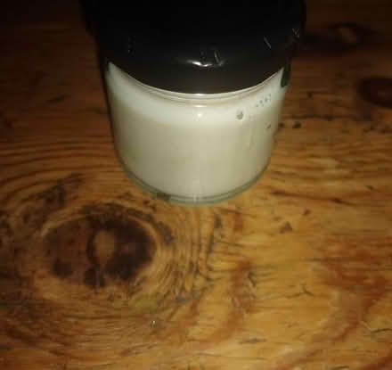 Photo of free Milk kefir grains (Newtown RG1) #2