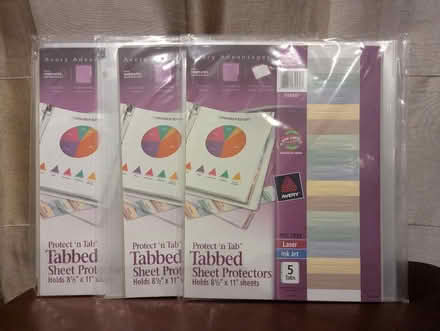 Photo of free Binder dividers (assorted) (Fanwood) #2
