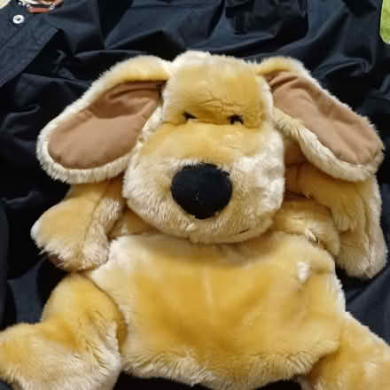 Photo of free Dog hot water/pyjama holder. (Sydenham SE26) #1